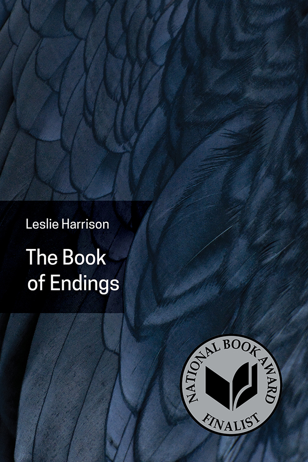 Book-of-Endings-cover-with logo-600